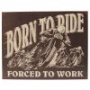 Born to Ride Tin Sign