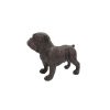 Polyresin Bulldog Model