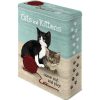 Cats & Kittens XL Embossed Storage Tin