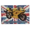 Triumph Daytona 650 Sign