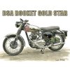 BSA Rocket Gold Star 650cc 1962 Sign