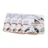 Sydney Coasters with Kookaburras