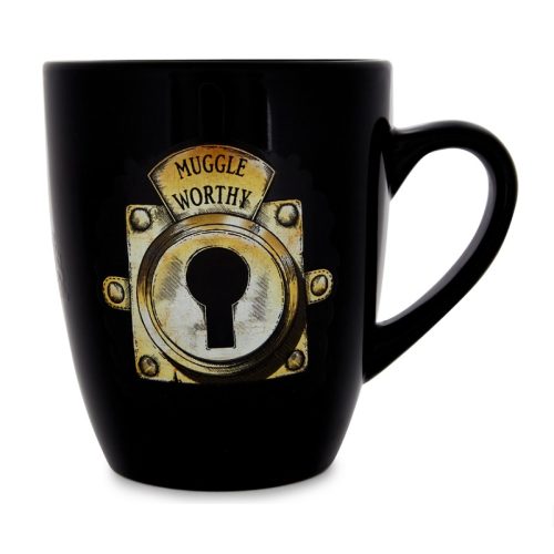 Harry Potter Muggle Worthy Heat Change Mug