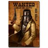 Ned Kelly Outlaw Tin Sign