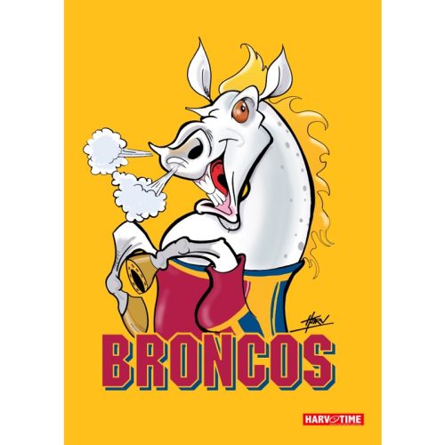 Broncos Microfiber Towel